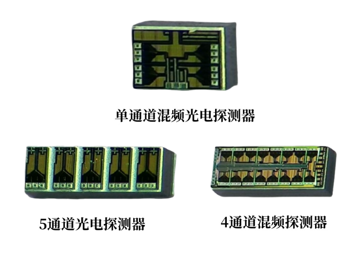 SOI芯片光電探測器